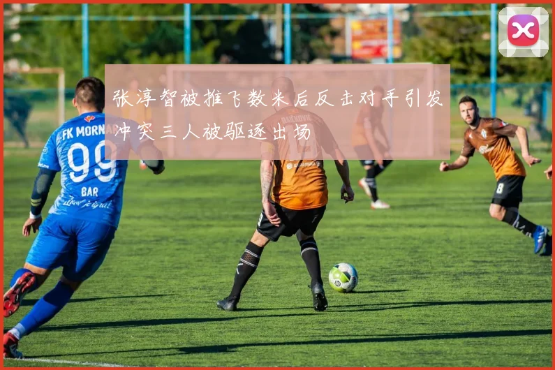 张淳智被推飞数米后反击对手引发冲突三人被驱逐出场