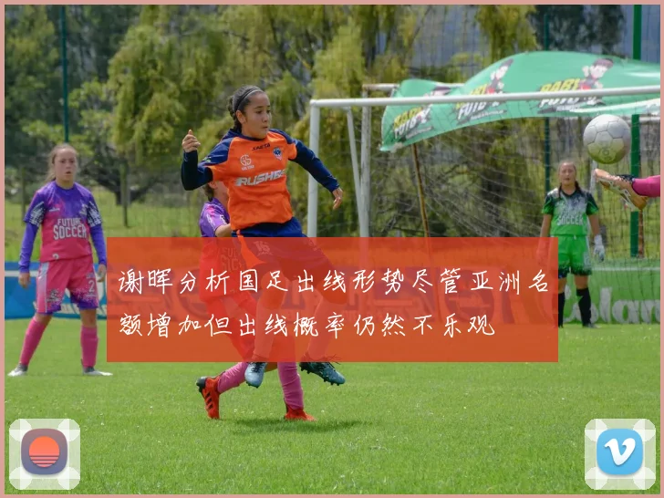 谢晖分析国足出线形势尽管亚洲名额增加但出线概率仍然不乐观